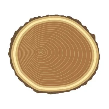 Tree slices vector isolated Stock Illustration