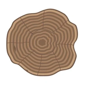 Tree slices vector isolated Illustrazione stock
