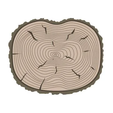 Tree slices vector isolated Stock Illustration