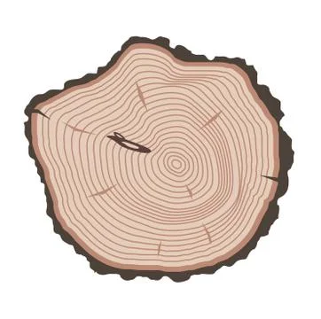 Tree slices vector isolated Stock Illustration