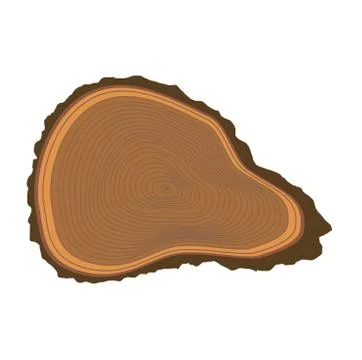 Tree slices vector isolated Stock Illustration