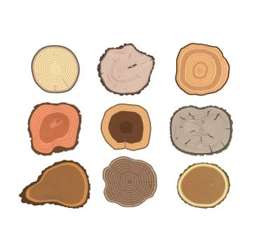 Tree slices vector set Illustrazione stock