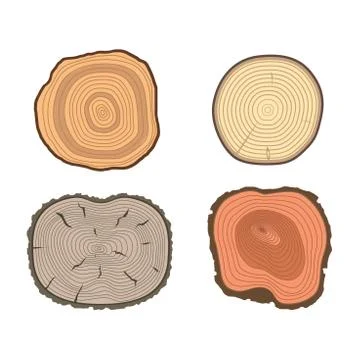 Tree slices vector set Stock Illustration