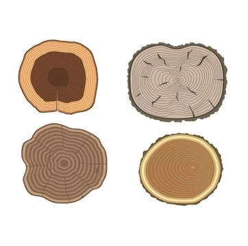 Tree slices vector set Stock Illustration