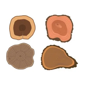 Tree slices vector set 스톡 일러스트