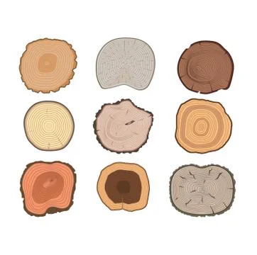Tree slices vector set Stock Illustration