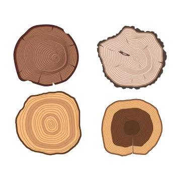 Tree slices vector set Stock Illustration