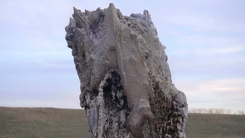 Tree on a slow fire, easy burning, on urban quay Stock-Footage 104801738