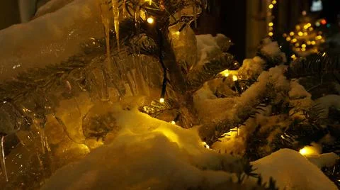 The tree of a small Christmas tree in icicles is illuminated with garlands near  스톡 사진