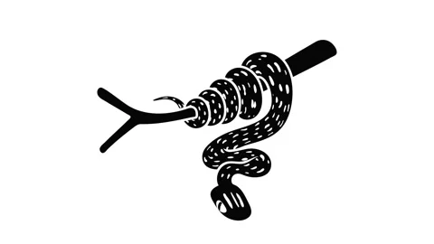 Tree snake icon animation Stock Footage 152770861