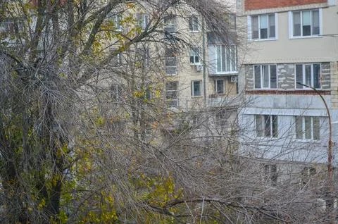 A tree with snow on it is in front of a building. Stock Photos