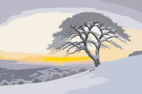 A tree with snow on it 库存插图
