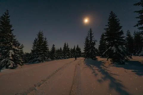 A tree with snow on the side of a road Stock Photos
