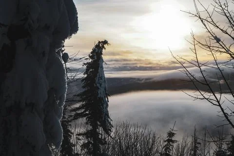 Tree with snow by sunset with low clouds in forest on mountain in winter Stock Photos