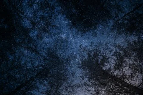 Tree in space Stock Photos