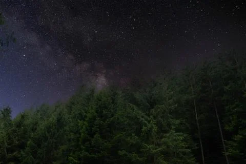 A tree in space Stock Photos