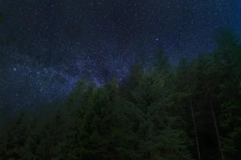 A tree in space Stock Photos