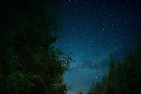 A tree in space Stock Photos