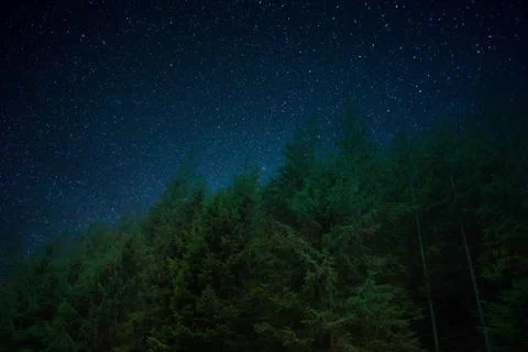 A tree in space Foto stock