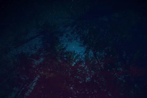 A tree in space Stock Photos