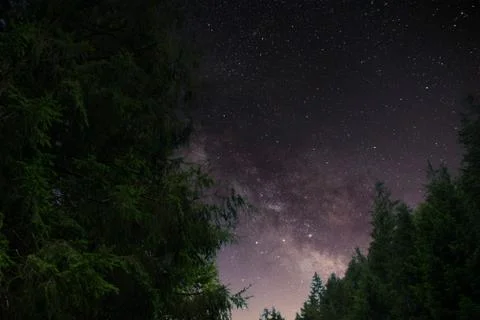 A tree in space Stock Photos