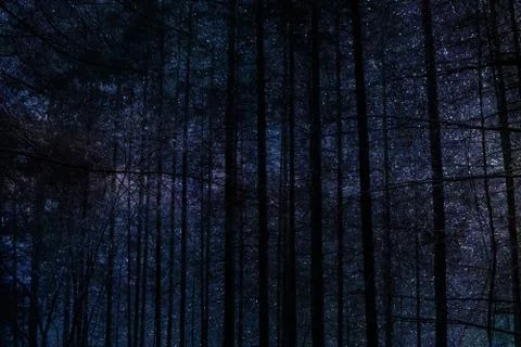 Tree in space Stock Photos