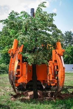 Tree spade planting tree Stock-Fotos