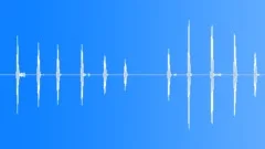 Tree Sparrow. Bird CallsSound Effect