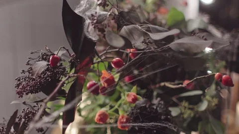 Tree with spider web and paper bats, evening halloween street, dark key Stock Footage 115578084
