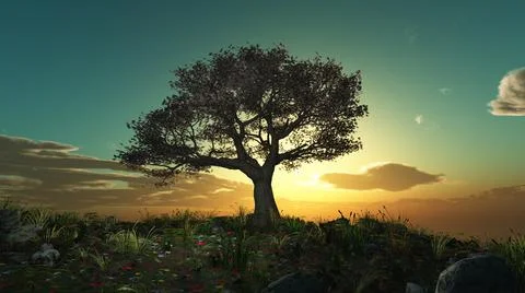 Tree spring in meadow sunset Stock Illustration