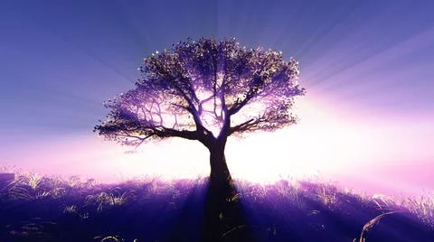 Tree spring in meadow sunset Stock Illustration