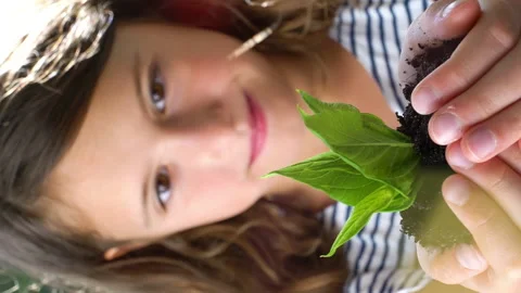 Tree sprout growing from human hands on the forest background Video stock 161089107