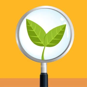 Tree sprout magnify Illustrazione stock