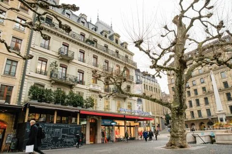 Tree in the square. 库存照片