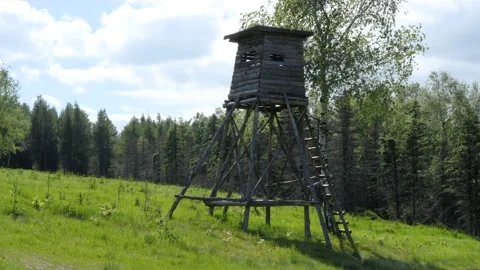 Tree stand hunting tower in forests of Czech Republic Video stock 155931192
