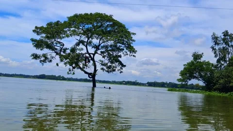 Tree standing in flooded water with blue sky and clouds Vídeo Stock 331807102