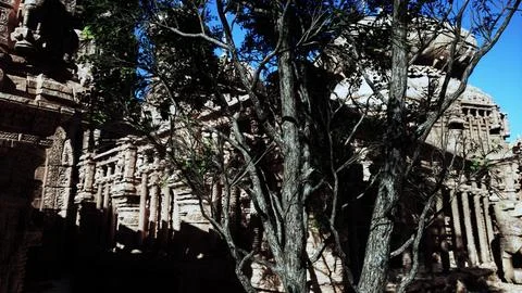 Tree Standing in Front of Stone Building Ilustración de archivo