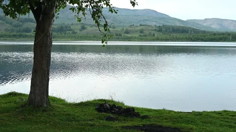 Tree standing strong by the lake reflecting the sky Видео 285405062