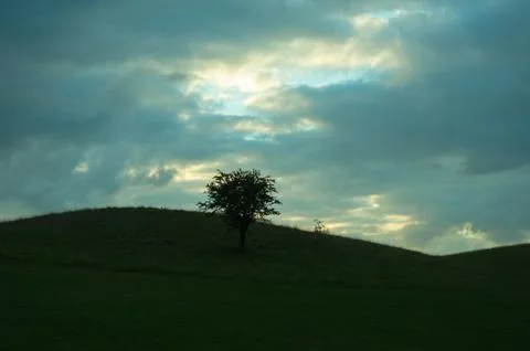 A tree stands alone in the Phoenix Park as the sun peeps through the clouds Stock-Fotos