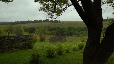 A tree stands in the country, view of a hilly field Stock Footage 122276155