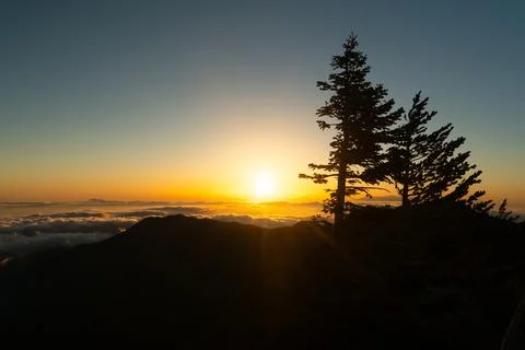 A tree stands in the foreground of a beautiful sunset Stock Photos