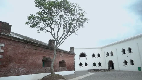 A tree stands in the middle of a former prison building. Stock Footage 329560759