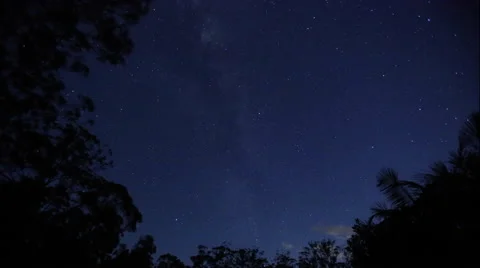 Tree star time lapse Stock Footage 53471654