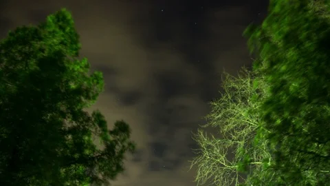 Tree Stars Clouds Timelapse Stock Footage 99179095