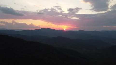 Tree start to sunset 24FPS Stock Footage 133835803