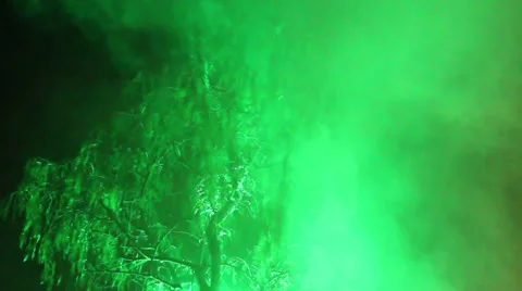 Tree steam HD Vídeos de archivo 32395518