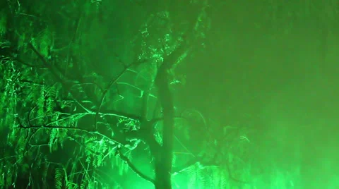 Tree steam.HD. Stock Footage 32408478