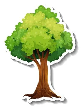 Tree sticker on white background Stock Illustration