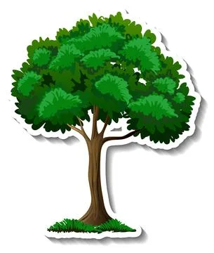 Tree sticker on white background Stock Illustration
