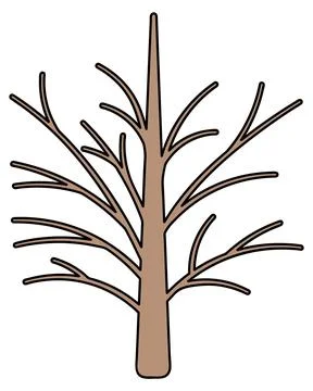 Tree. Straight brown trunk and curved branches without leaves.  Vector. Illustrazione stock